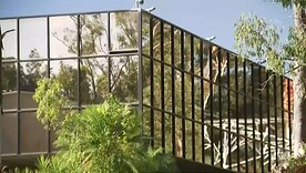 PhotoGrid_Plus_1618222529114