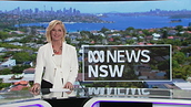 ABC News NSW - Set Shot (9.3.2020) #8