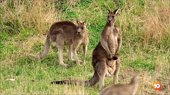 Im Cel 2021.ts_000032400