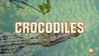 Im Cel 2021.ts_000020840