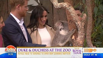 vlcsnap-2018-10-16-09h43m02s376