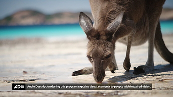 ABC-TV - In-Program Super, Audio Described Programming for the Visually Impaired (15.6.2020) #1