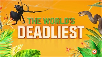 Im Cel 2021.ts_000012880