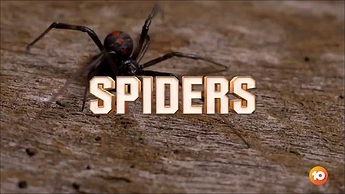 Im Cel 2021.ts_000016840