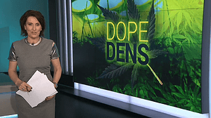 vlcsnap-2018-07-02-19h39m07s045