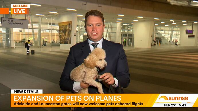 20260226013623.mp4_029326048