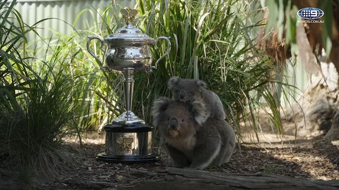 Australian_Open_Tennis_-_Night_20250125_1901.ts_006991220