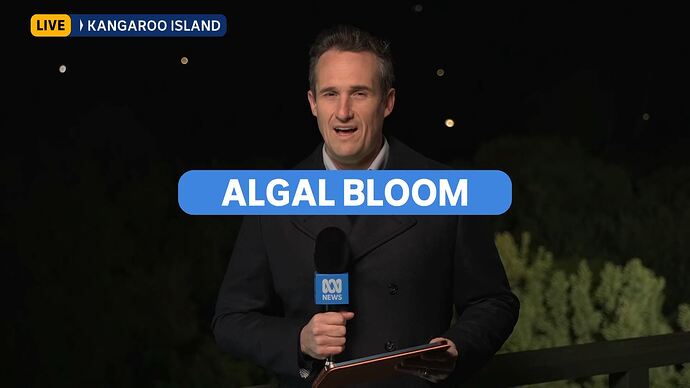 vlc-record-2025-08-11-00h14m49s-udp___127.0.0.1_5000-.ts_020658078