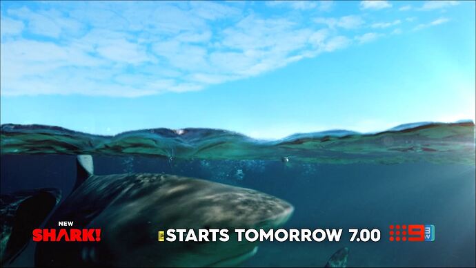 05-3001-33-58Channel 9 SydneyChannel 9 Sydney.ts019591961