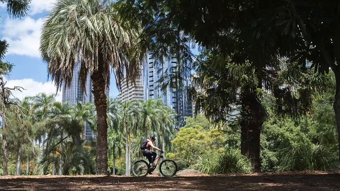 Diabolical#_The_Epstein_Files_20260302_2044.ts_004051508