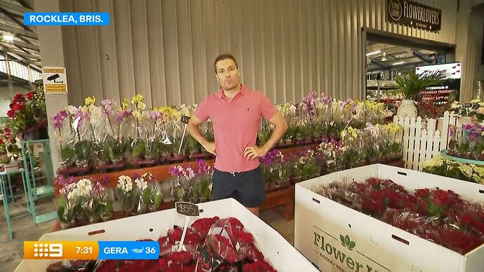 Olympic_Winter_Games_Milano_Cortina_2026_-_Post_Midnight_20260214_0101.ts_023380977