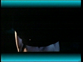 vlcsnap-2025-10-11-16h06m10s464