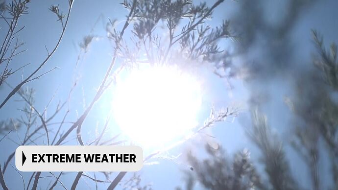 vlc-record-2025-12-25-00h52m42s-udp___127.0.0.1_5000-.ts_021989990