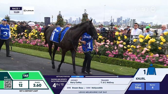 11-04_07-49-19_9 Syd_9 Syd.ts_006316537