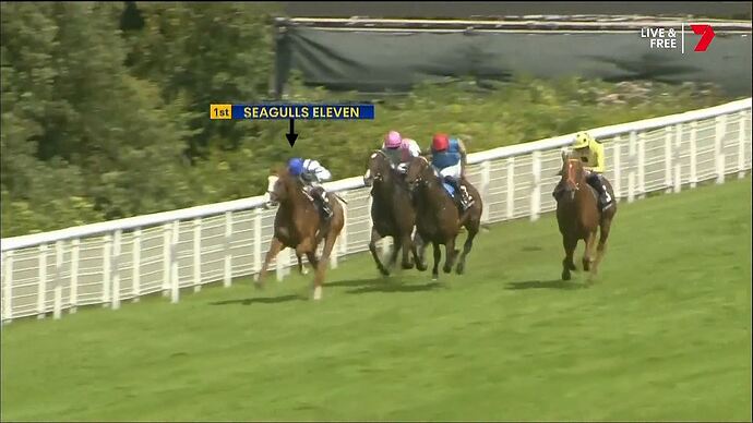 Seven's_Horse_Racing_20251101_1306.ts_000795276