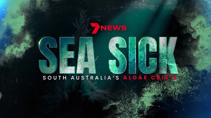 7NEWS - Sea Sick