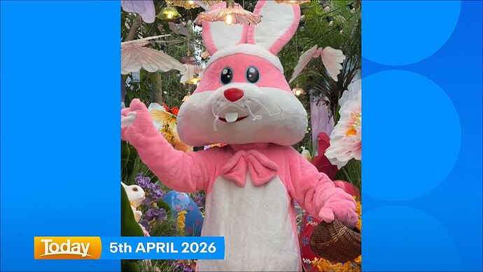 04-05_01-59-35_Channel 9 Sydney_Channel 9 Sydney.ts_018083406