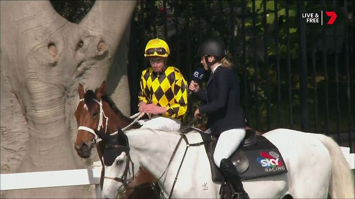 Seven's_Horse_Racing_20251101_1306.ts_009936930