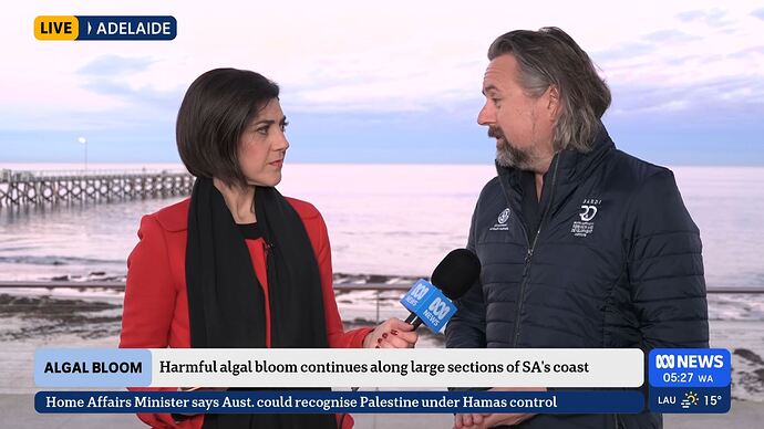 vlc-record-2025-08-11-00h14m49s-udp___127.0.0.1_5000-.ts_025910073