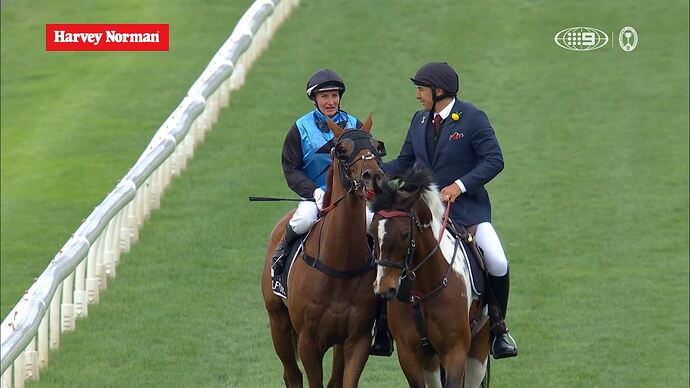 11-04_13-24-24_9 Syd_9 Syd.ts_002698405