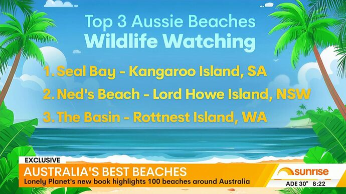 Weekend_Sunrise_20260117_0757.ts_001488909