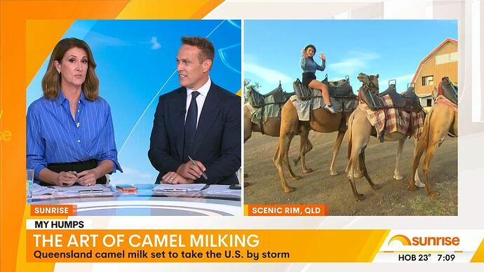 20260130002602.mp4_024200234