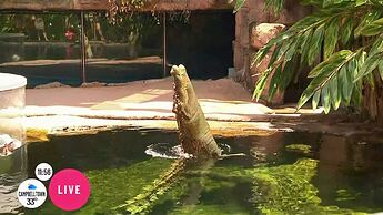10HDSydney2022-02-17 10-47-18.mp4_000580053