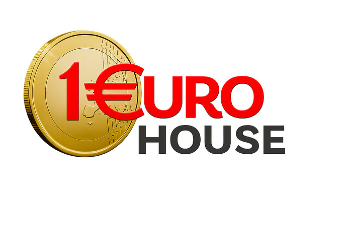 1 Euro House Logo