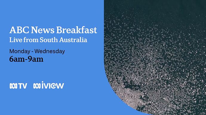 vlc-record-2025-08-10-07h57m50s-udp___127.0.0.1_5000-.ts_018002176