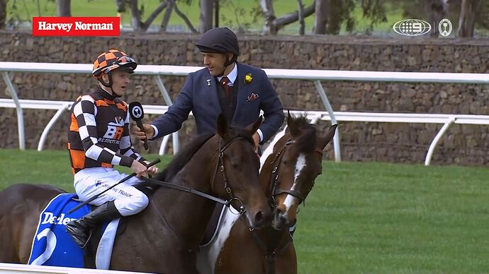 11-04_07-49-19_9 Syd_9 Syd.ts_007253178