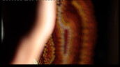 ZampakidCap-2026-06-10-20h47m18s401