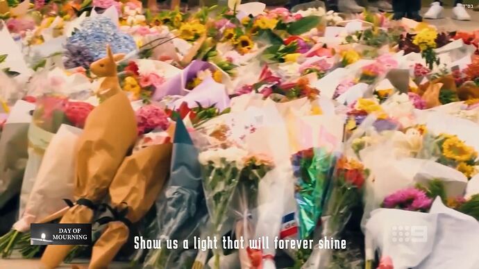 01-22_17-57-39_9Go!_9Go!.ts_006358206