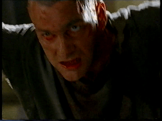 vlcsnap-2025-11-19-23h07m18s105