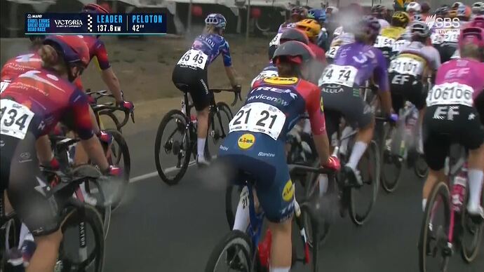 01-31_07-51-42_SBS ONE HD (AAC,aus)_France 24 English News.ts_014508224