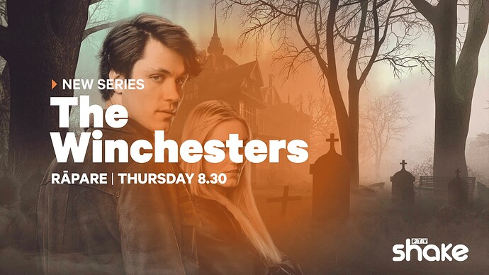 Promo endboard (Shake)