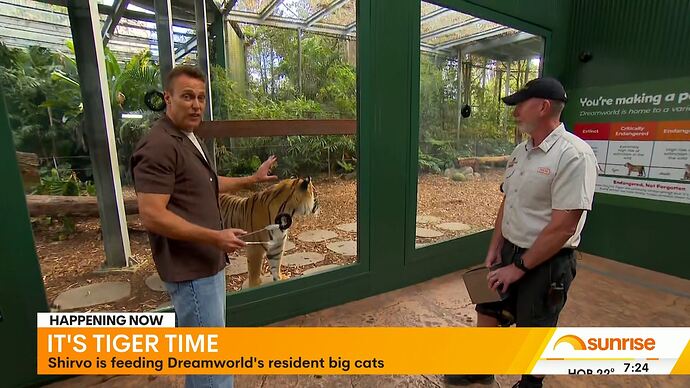 Life_20251205_0012.ts_025890416