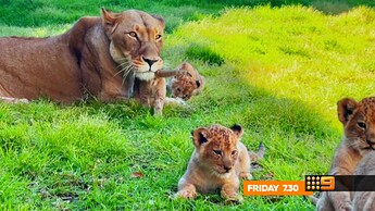 vlcsnap-2022-11-08-22h01m31s427