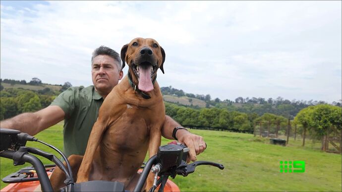 10-29_12-41-16_9 Syd_9 Syd.ts_007045415