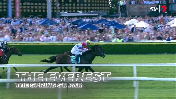 Seven's_Horse_Racing_20251108_1100.ts_000001144