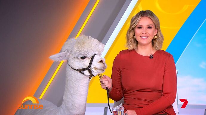 Big_Bash_League_20260107_2138.ts_006680837