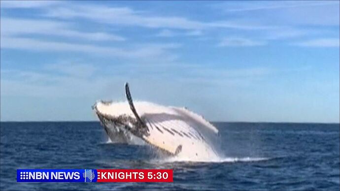 06-29_12-31-56_Channel 9 (Newcastle)_Channel 9 (Newcastle).ts_005850378