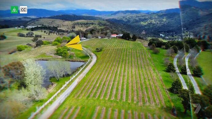 02-01_12-50-49_Seven Sydney_Seven Sydney.ts_012918819