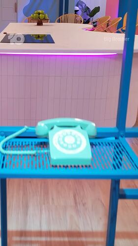 THE HOUSE IS HERE!   #BBAU - Starts 7.00 Sunday on @channel10au - Watch + Live Stream 24-7.mp4_000016737