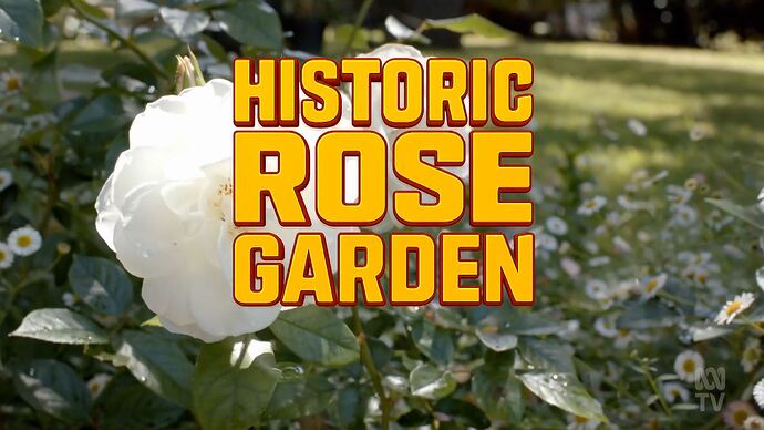 ABC_News_20250811_1904.ts_010863606