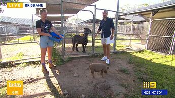 The_Weakest_Link_20211218_0102.ts_025689861