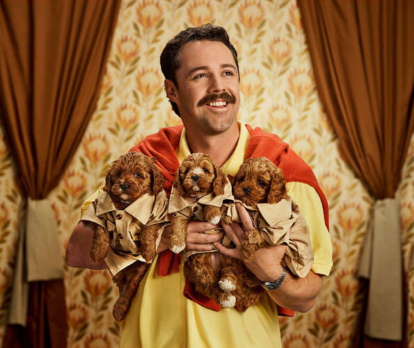 Travis Head_DOGS