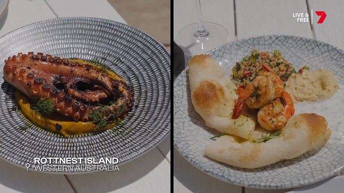 The_ASHES_20260107_1430.ts_025414605