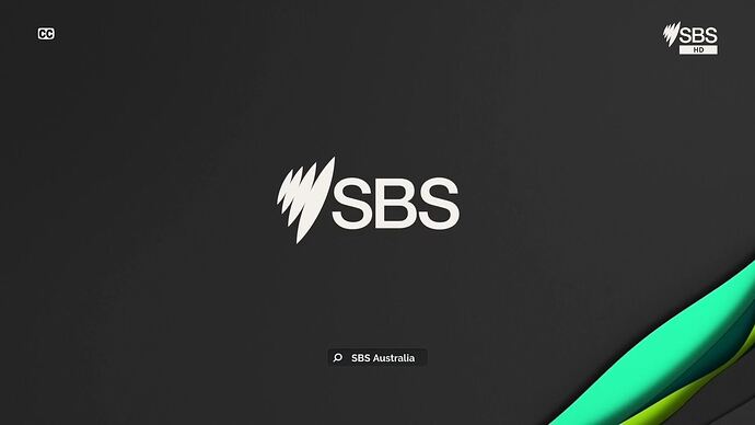 vlc-record-2025-12-06-16h20m30s-udp___127.0.0.1_5000-.ts_000243007