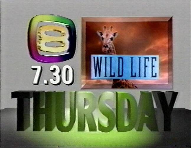 SES-8 Wild Life
