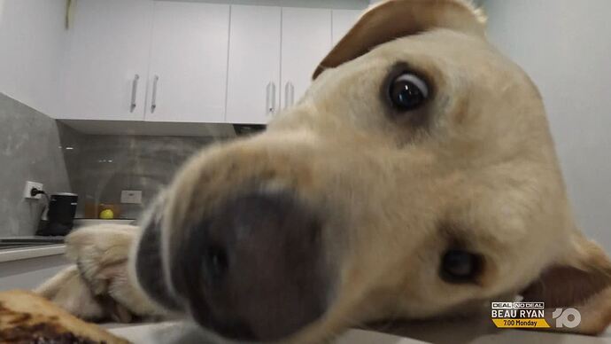 Deal_Or_No_Deal_20250903_1925.ts_000502382